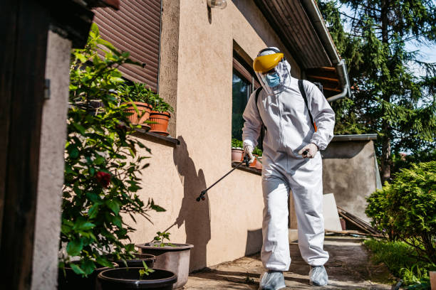 Best Pest Removal Services  in Miami, AZ